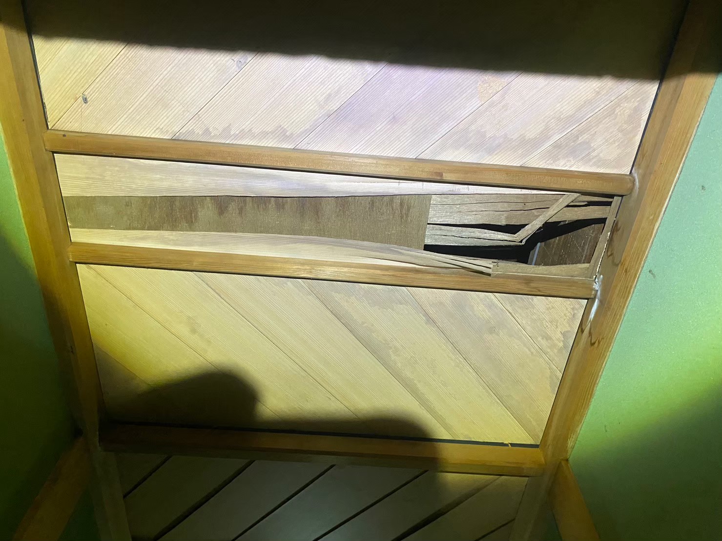 福岡県朝倉市　アライグマによる被害　T様邸　駆除実績