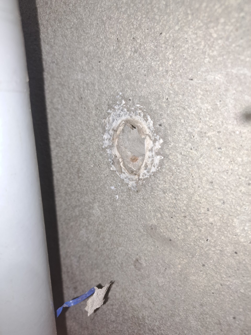 福岡県飯塚市　ネズミによる被害　M様邸　駆除実績