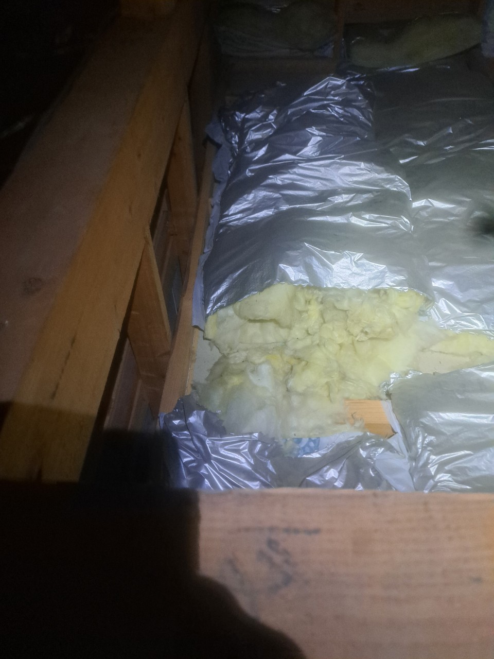 佐賀県小城市　イタチによる被害　U様邸　駆除実績