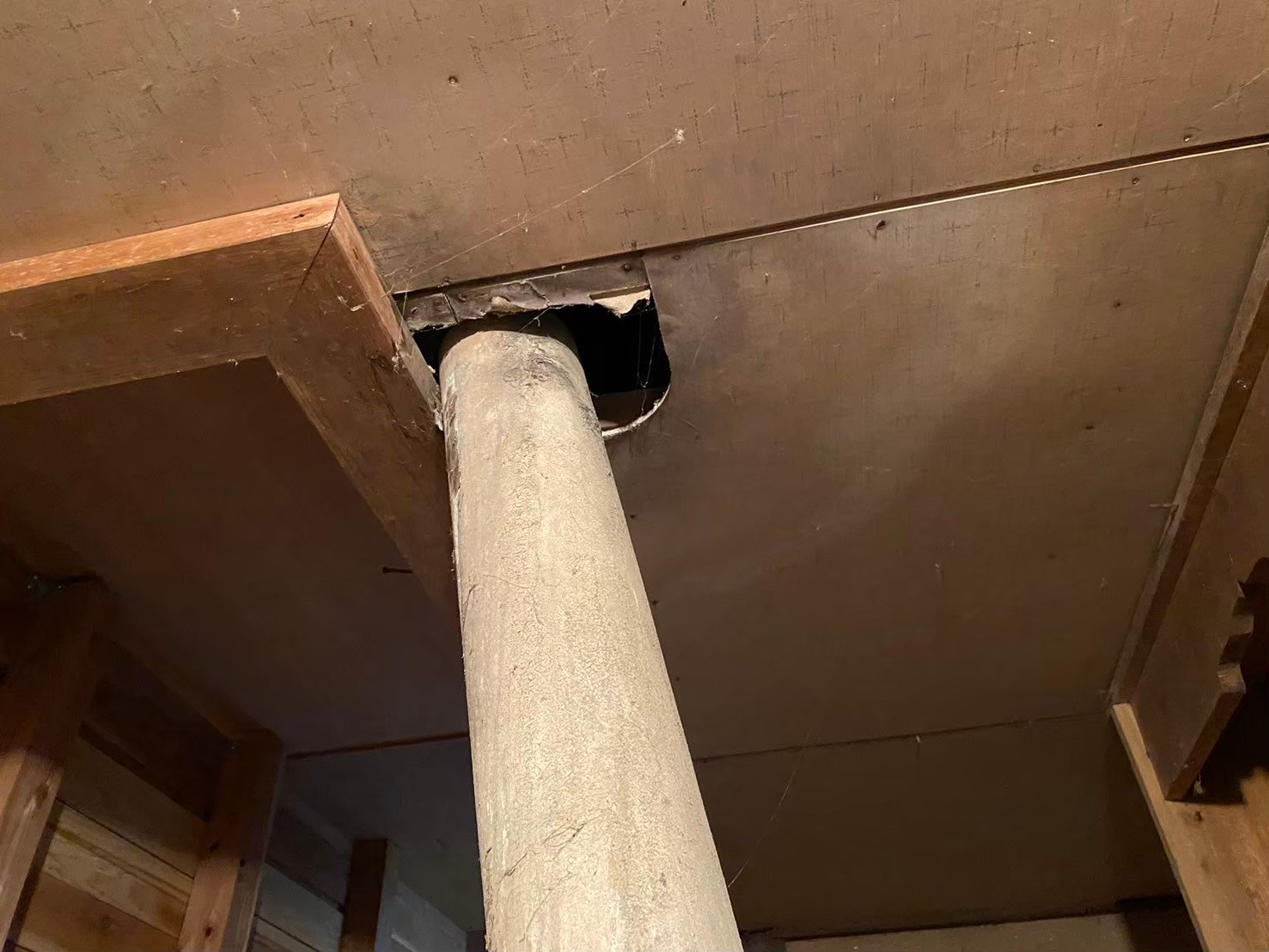 佐賀県唐津市　イタチによる被害　N様邸　駆除実績