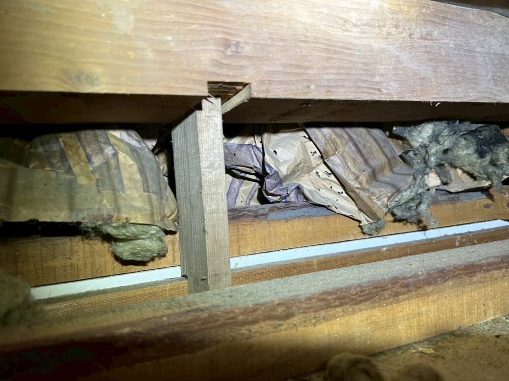 佐賀県神崎市　イタチによる被害　E様邸　駆除実績