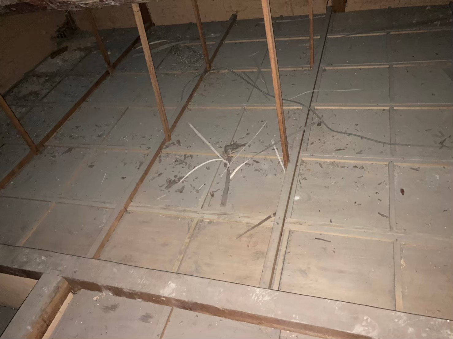 佐賀県武雄市　ネズミによる被害　K様邸　駆除実績