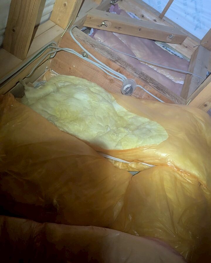 佐賀県多久市　イタチによる被害　B様邸　駆除実績