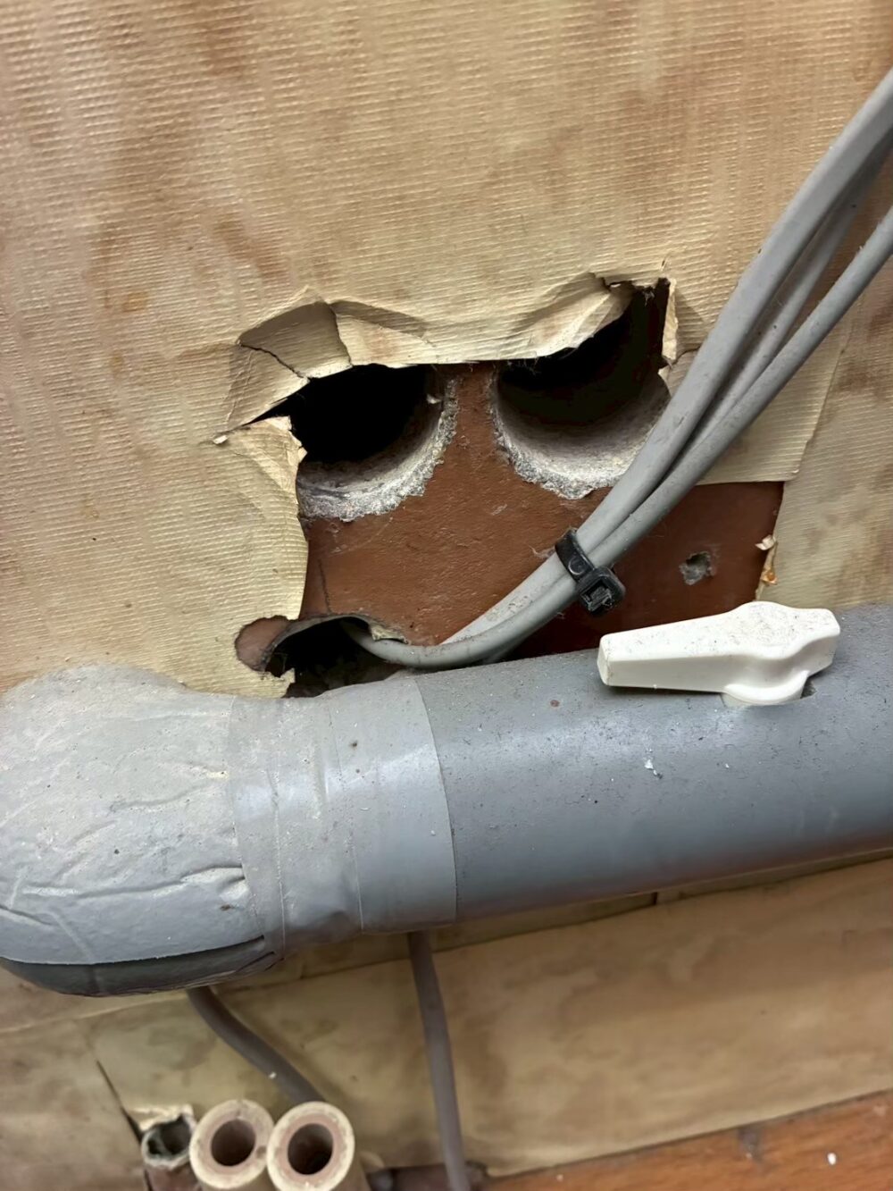 福岡県福岡市　ネズミによる被害　K様邸　駆除実績