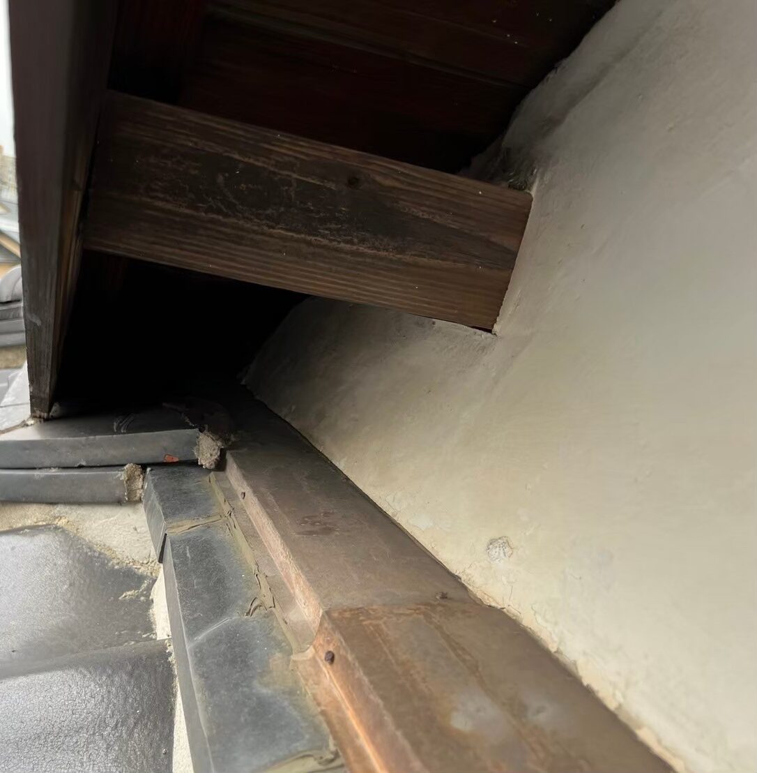 福岡県糸島市　アライグマによる被害　D様邸　駆除実績