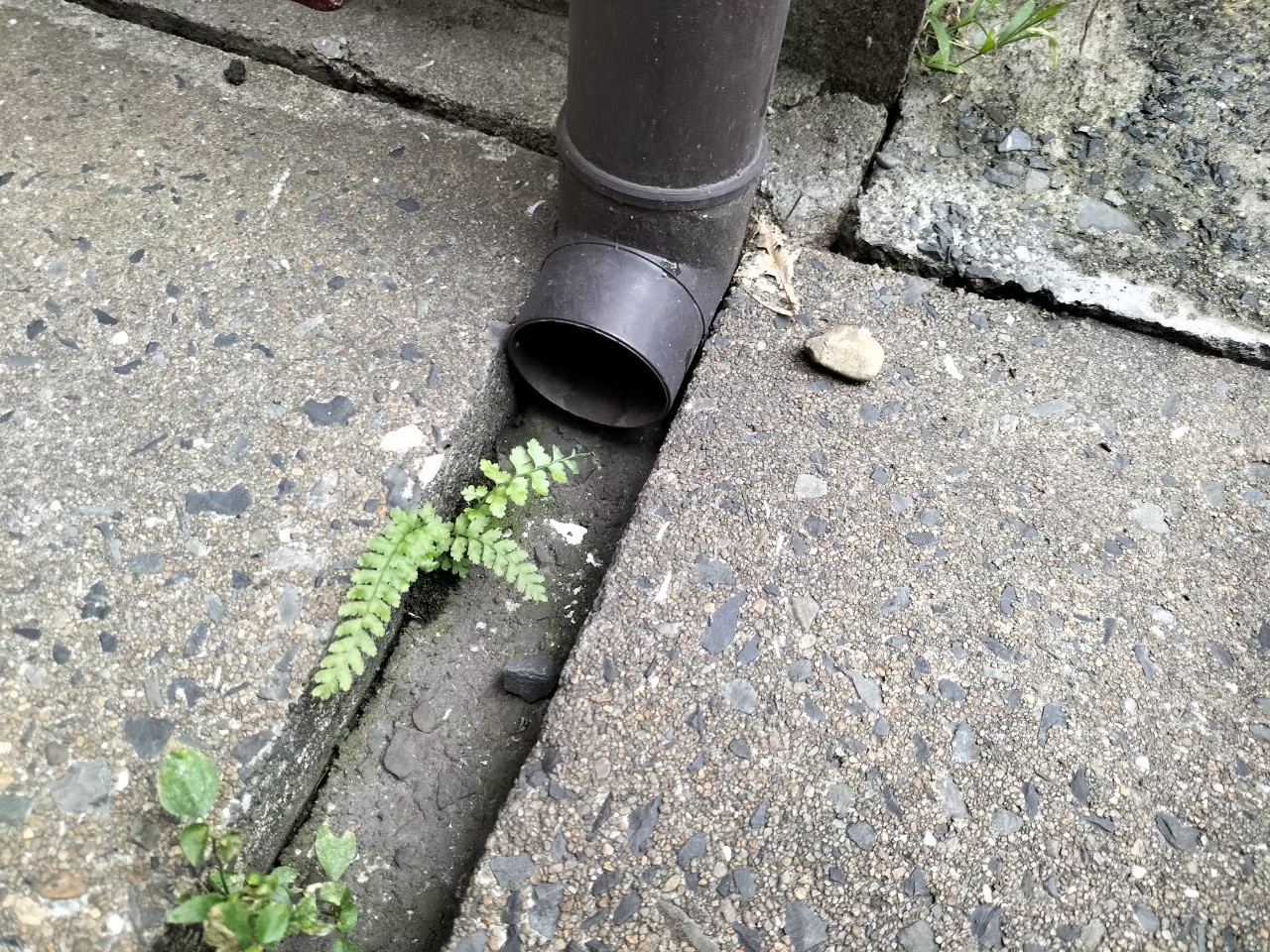 福岡県筑紫野市　ネズミによる被害　A様邸　駆除実績