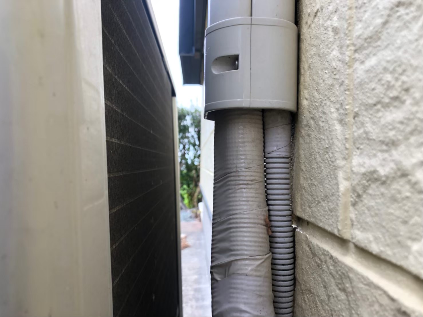 佐賀県唐津市　ネズミによる被害　Y様邸　駆除実績