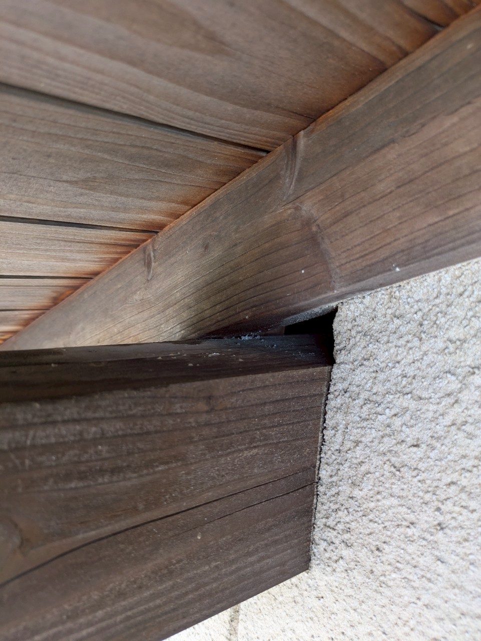 佐賀県伊万里市　ネズミによる被害　T様邸　駆除実績