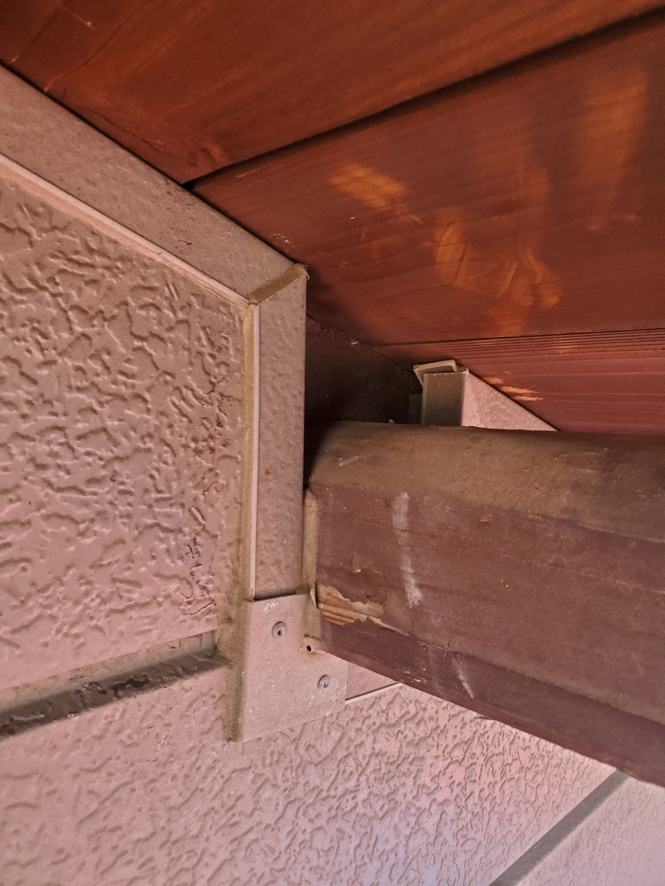 佐賀県神崎市　アライグマによる被害　M様邸　駆除実績