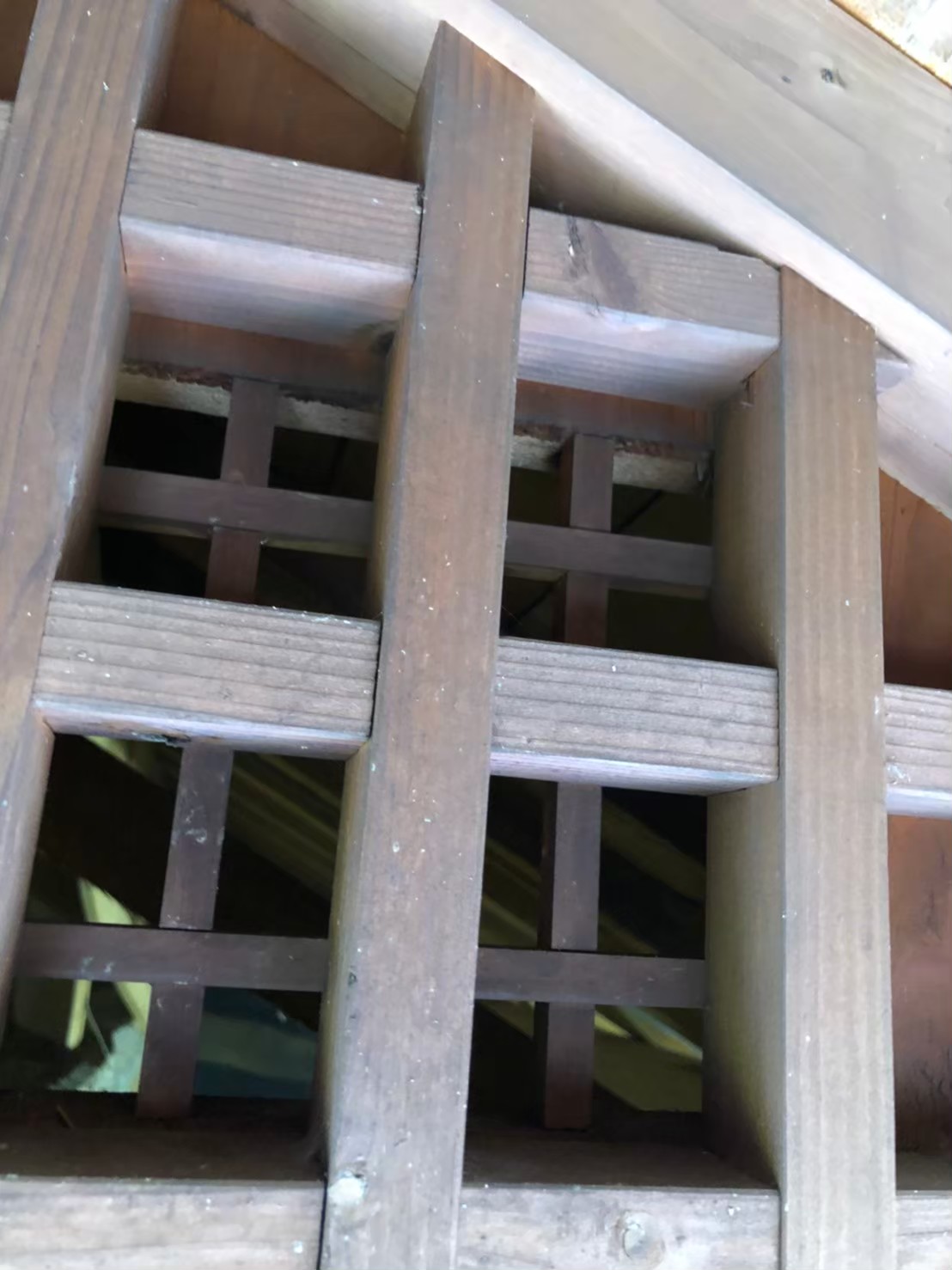 イタチによる被害　T様邸　駆除実績