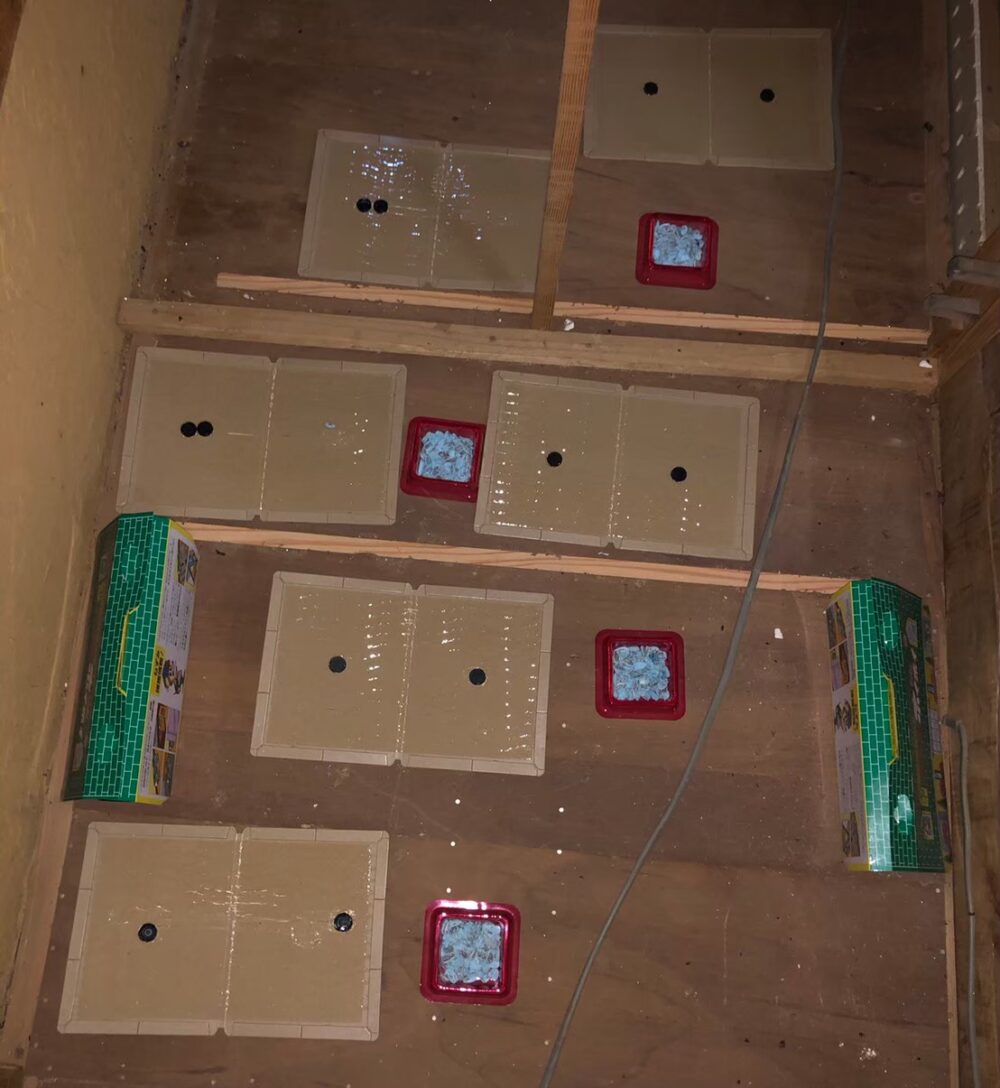 イタチによる被害　T様邸　駆除実績