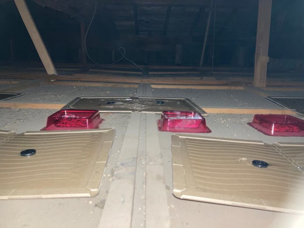 ネズミによる被害　A様邸　駆除実績