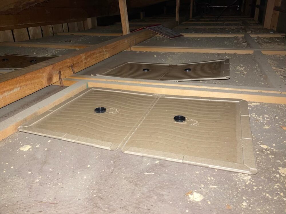 イタチによる被害　N様邸　駆除実績