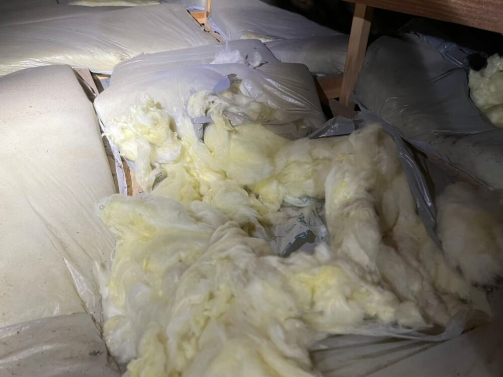 アライグマによる被害　Y様邸　駆除実績