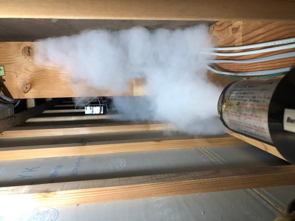 イタチによる被害　A様邸　駆除実績