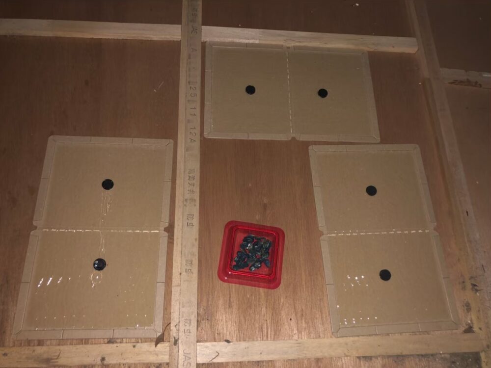 ネズミによる被害　M様邸　駆除実績