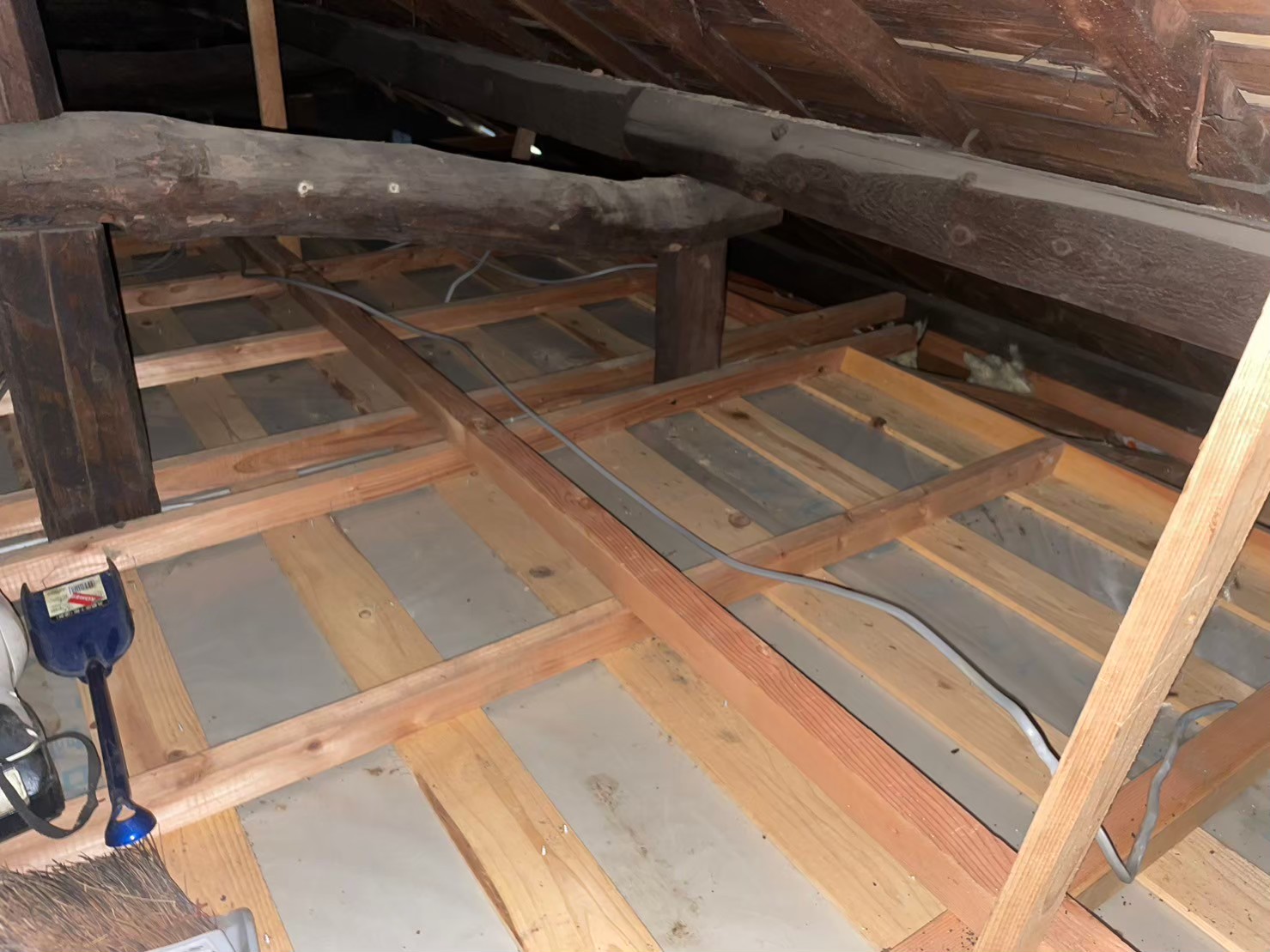 福岡県朝倉市　イタチによる被害　T様邸　駆除実績