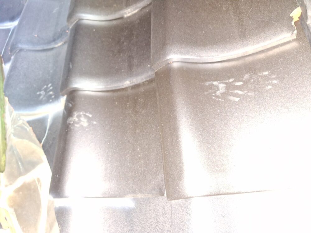 佐賀県武雄市　アライグマによる被害　H様邸　駆除実績