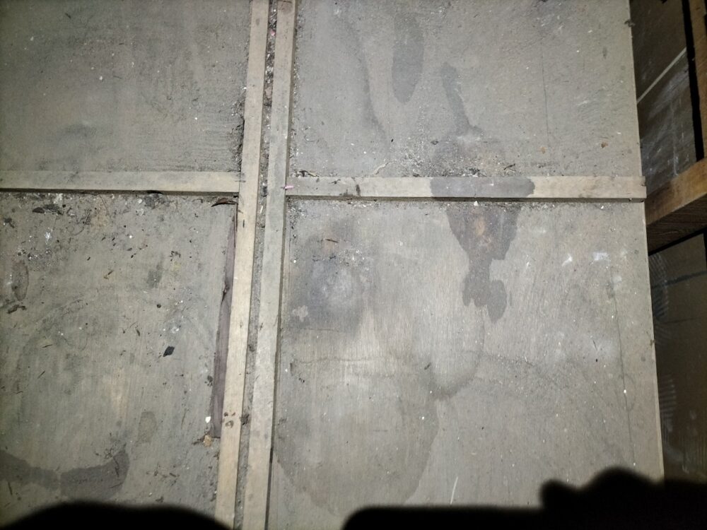 福岡県久留米市　ネズミによる被害　Y様邸　駆除実績