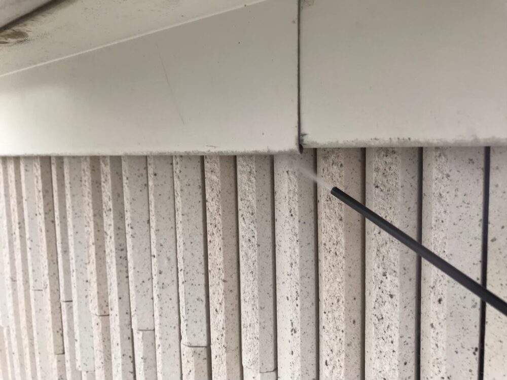 ネズミによる被害　医療施設I　T様　駆除実績