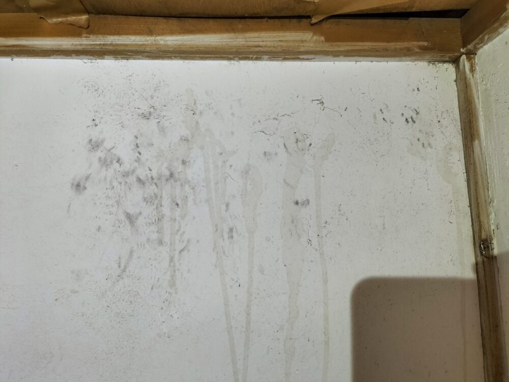 佐賀県小城市　イタチによる被害　U様邸　駆除実績