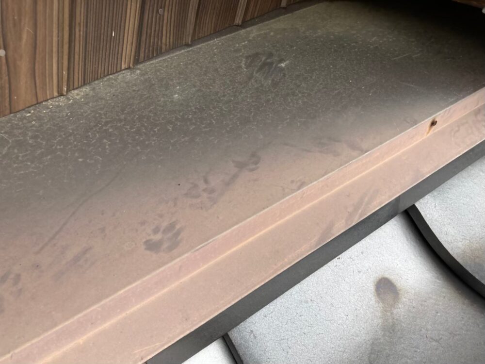 アライグマによる被害　M様邸　駆除実績