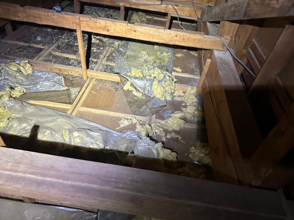 福岡県飯塚市　アライグマによる被害　S様邸　駆除実績