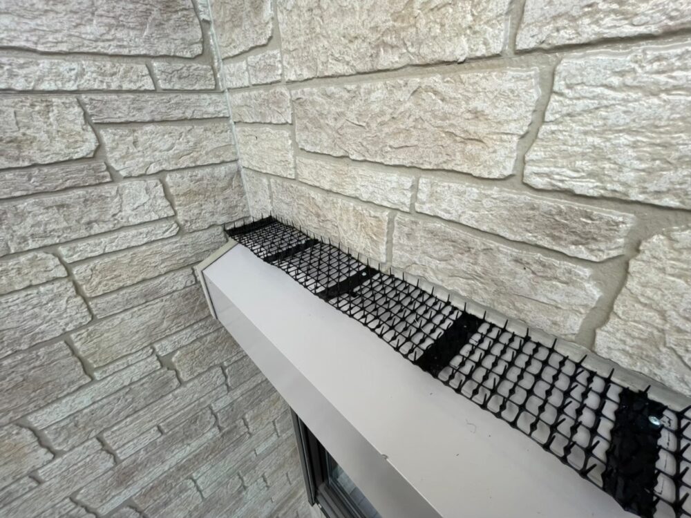 コウモリによる被害　O様邸　駆除実績