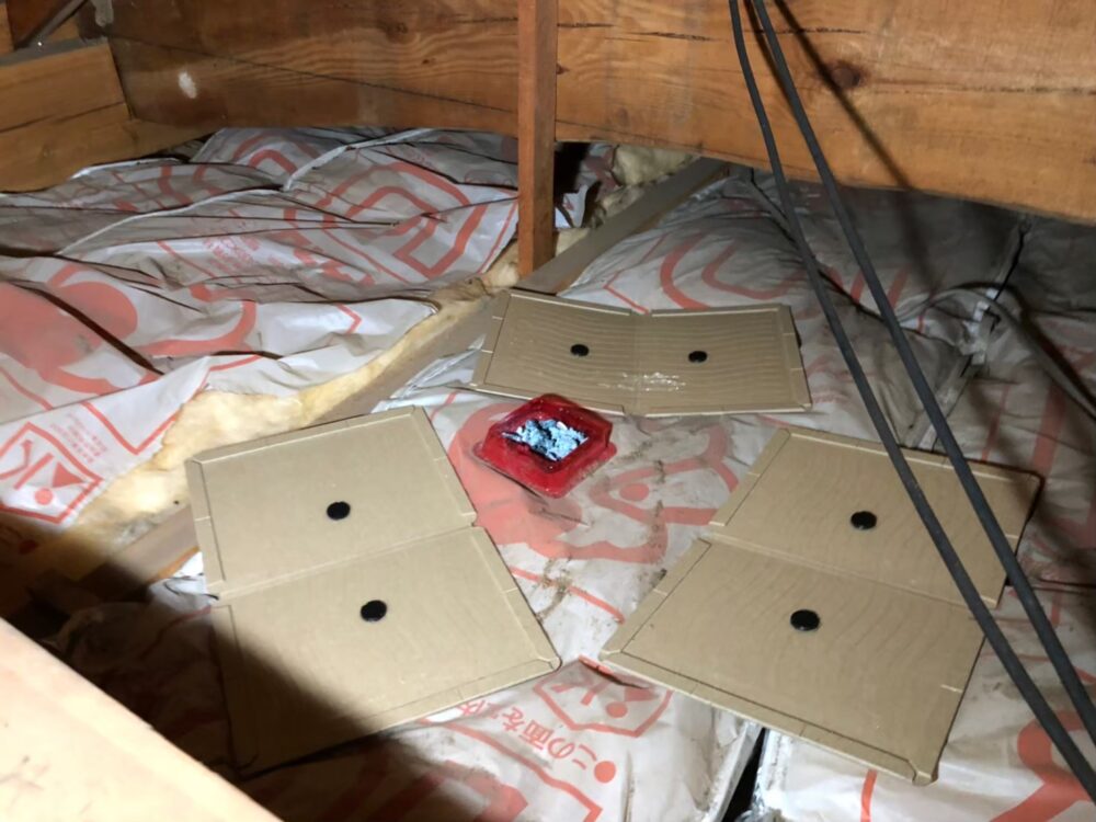 ネズミ・イタチによる被害　T様邸　駆除実績