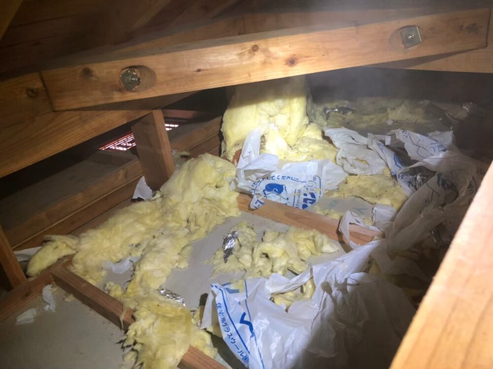 佐賀県鳥栖市　イタチによる被害　Y様邸　駆除実績