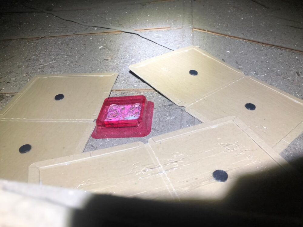 佐賀県佐賀市　ネズミによる被害　A様邸　駆除実績