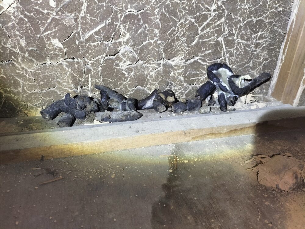 福岡県久留米市　アライグマによる被害　U様邸　駆除実績