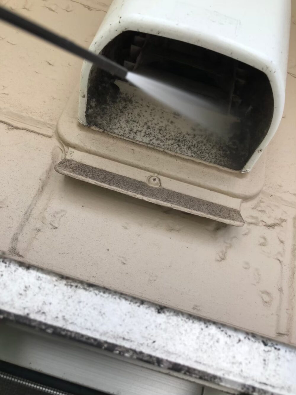 コウモリによる被害　N様邸　駆除実績