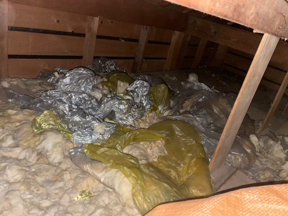 福岡県八女市　イタチによる被害　O様邸　駆除実績