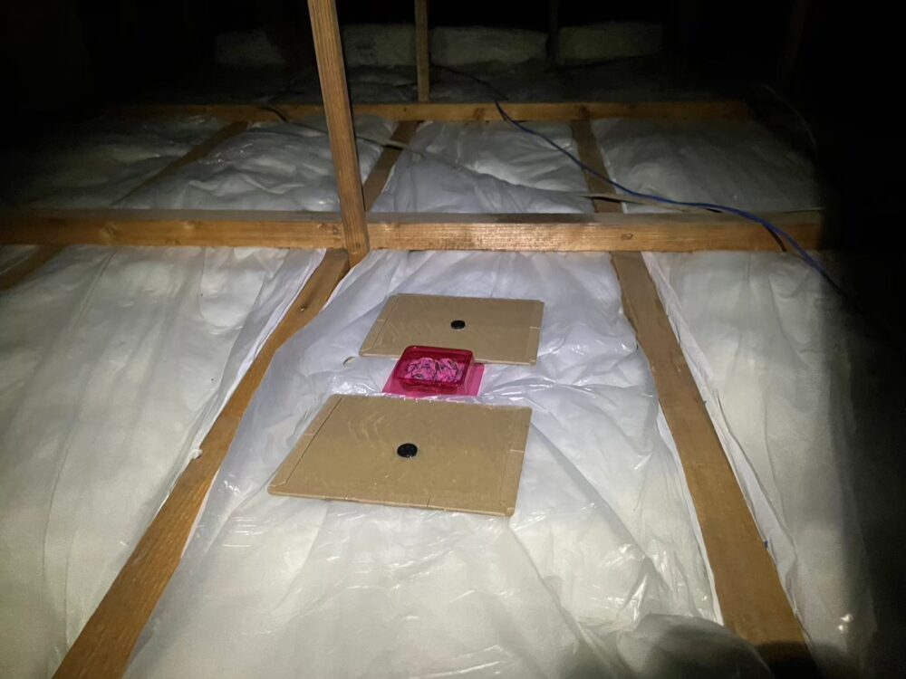 福岡県福岡市　ネズミによる被害　W様邸　駆除実績