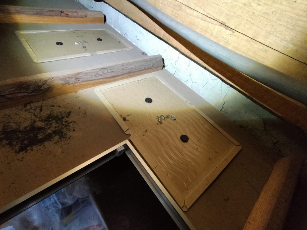 イタチによる被害　Y様邸　駆除実績