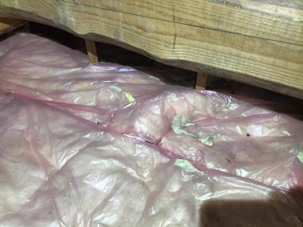 福岡県飯塚市　ネズミによる被害　M様邸　駆除実績