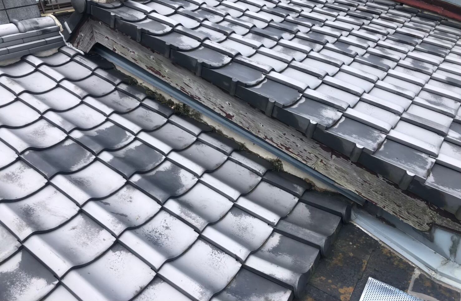 アライグマによる被害　M様邸　駆除実績