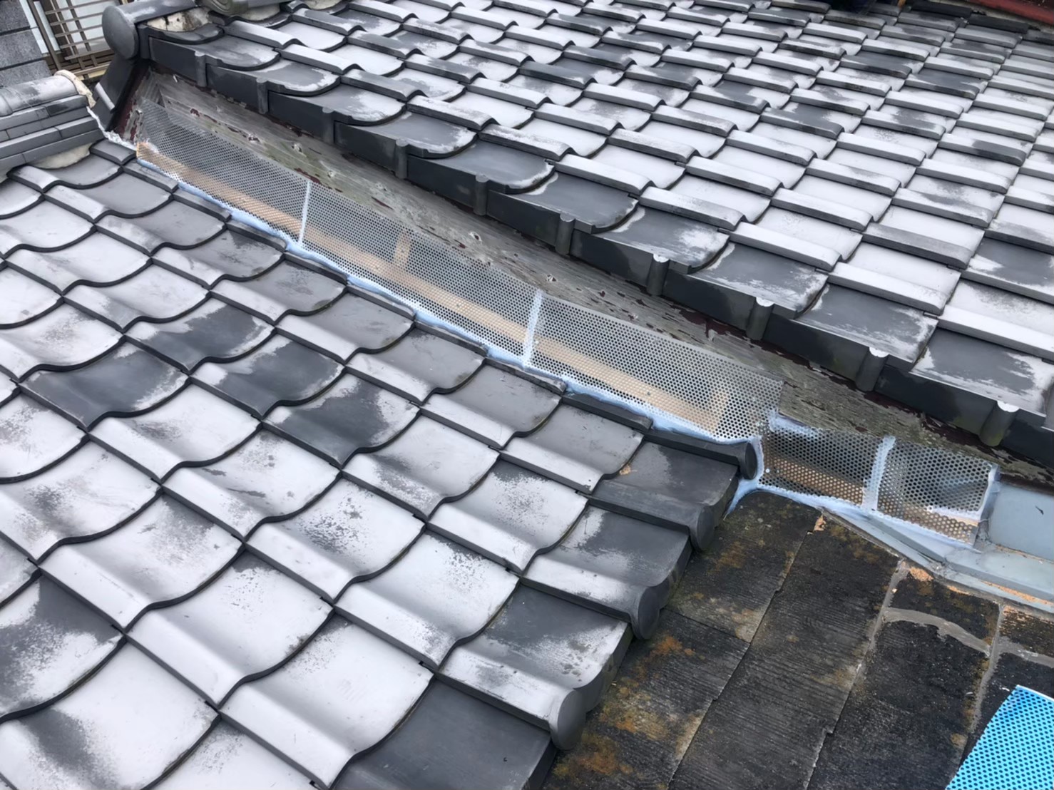 アライグマによる被害　M様邸　駆除実績