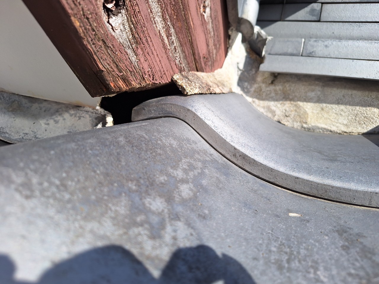 佐賀県三養基郡みやき町　ネズミによる被害　N様邸　駆除実績