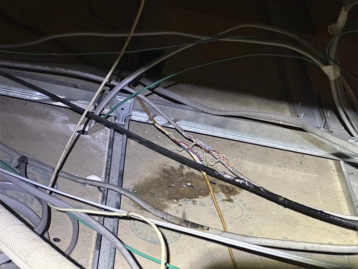 配線がかじられた後がある