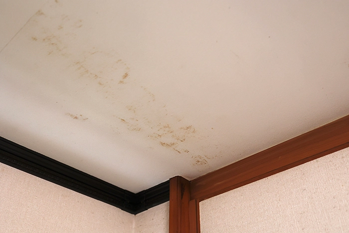 天井裏や壁の隙間から臭いがする