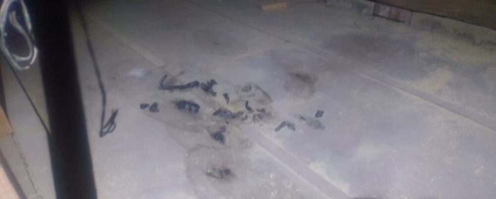 アライグマによる被害　M様邸　駆除実績